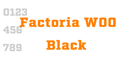 Factoria W00 Black
