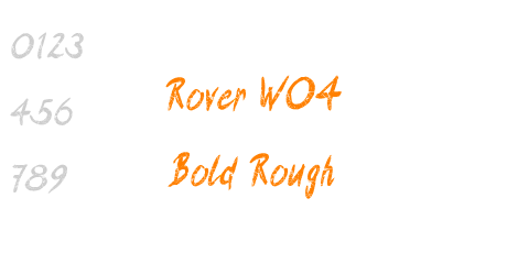 Rover W04 Bold Rough