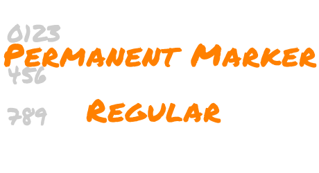 Permanent Marker Regular