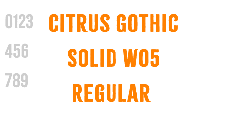 Citrus Gothic Solid W05 Regular