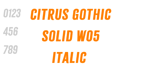 Citrus Gothic Solid W05 Italic