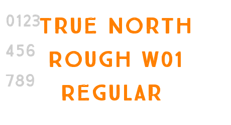 True North Rough W01 Regular