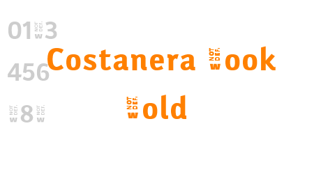 Costanera Book Bold