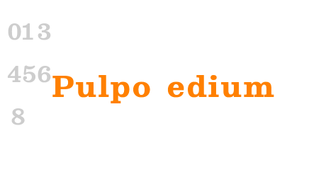Pulpo Medium