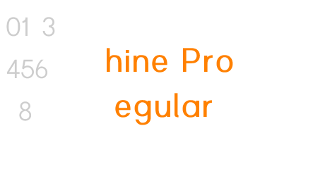 Shine Pro Regular