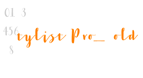 Stylist Pro_Bold