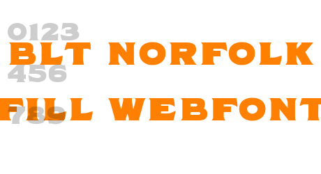 blt norfolk fill webfont