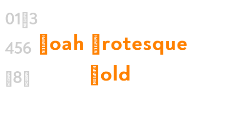 Noah Grotesque Bold