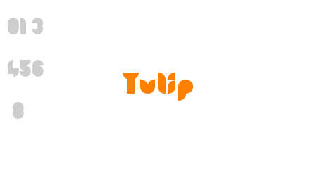 Tulip