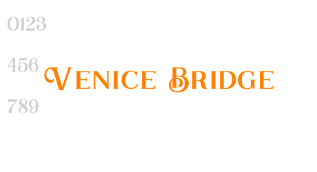 Venice Bridge