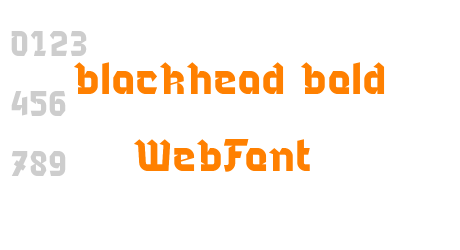 blackhead regular WebFont
