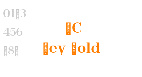  OC Rey Bold