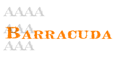 Barracuda