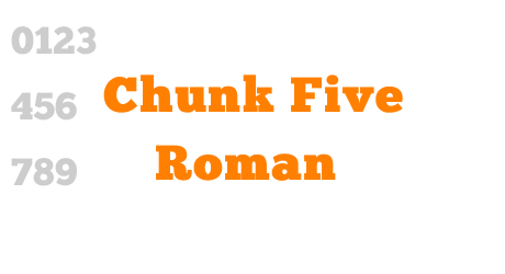 Chunk Five Roman