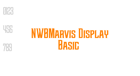 NWBMarvis Display Basic