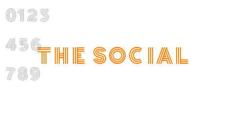 THE SOCIAL