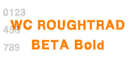 WC ROUGHTRAD BETA Bold