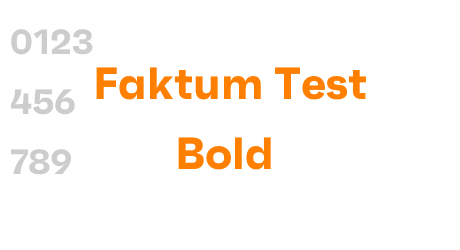 Faktum Test Bold