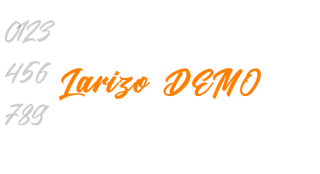 Larizo DEMO