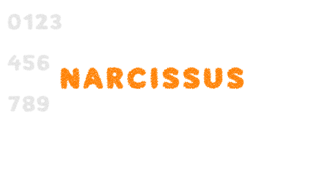 Narcissus